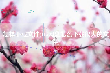 怎样下载文件(115网盘怎么下载很大的文件)