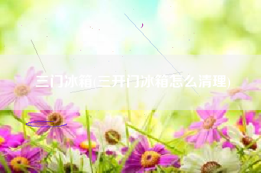 三门冰箱(三开门冰箱怎么清理)