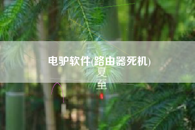 电驴软件(路由器死机)