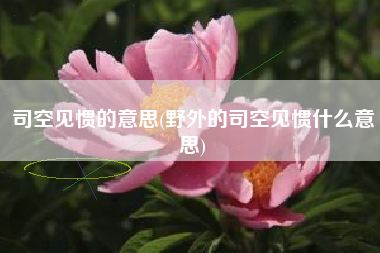 司空见惯的意思(野外的司空见惯什么意思)