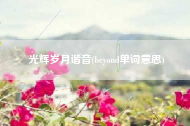 光辉岁月谐音(beyond单词意思)