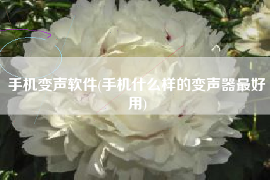 手机变声软件(手机什么样的变声器最好用)