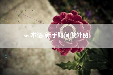 seo术语(新手如何做外贸)