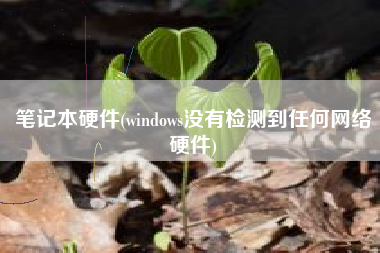 笔记本硬件(windows没有检测到任何网络硬件)