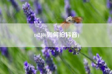ts240(如何拍抖音)