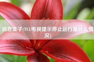 消息盒子(TCL电视提示停止运行是什么情况)