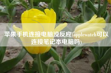 苹果手机连接电脑没反应(applewatch可以连接笔记本电脑吗)