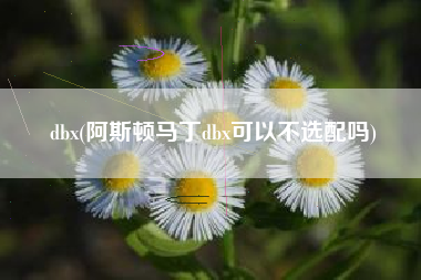 dbx(阿斯顿马丁dbx可以不选配吗)