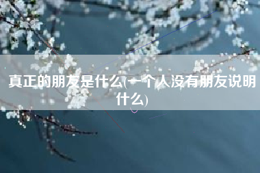 真正的朋友是什么(一个人没有朋友说明什么)