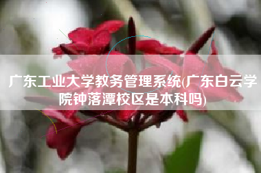广东工业大学教务管理系统(广东白云学院钟落潭校区是本科吗)