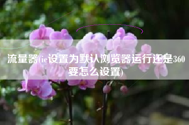 流量器(ie设置为默认浏览器运行还是360要怎么设置)