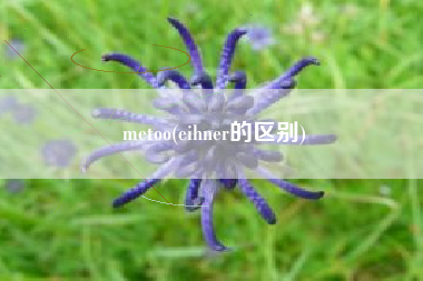 metoo(eihner的区别)