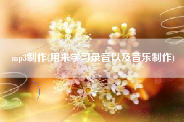 mp3制作(用来学习录音以及音乐制作)
