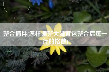 整合插件(怎样调整大脚背包整合后每一行的格数)