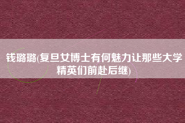 钱璐璐(复旦女博士有何魅力让那些大学精英们前赴后继)
