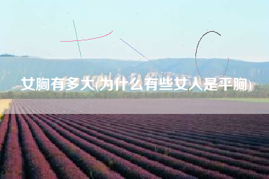 详细阅读:女胸有多大(为什么有些女人是平胸) 女胸有多大(为什么有些女人是平胸)