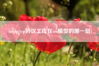 udpp(tcp协议工作在osi模型的哪一层)
