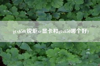 gtx650(锐炬xe显卡和gtx650哪个好)