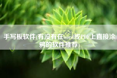 手写板软件(有没有在word或PDF上直接涂鸦的软件推荐)