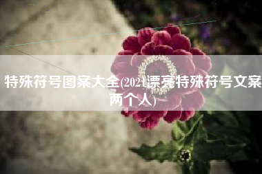 特殊符号图案大全(2021漂亮特殊符号文案两个人)