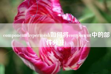 component(hypermesh如何将component中的部件分开)