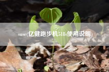 suse(亿健跑步机518s使用说明)