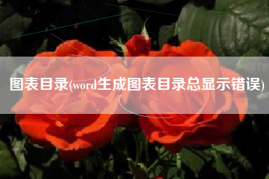 图表目录(word生成图表目录总显示错误)
