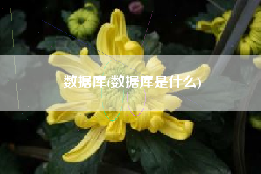 数据库(数据库是什么)