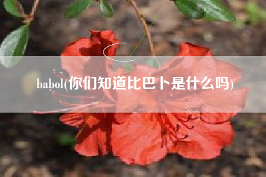 babol(你们知道比巴卜是什么吗)