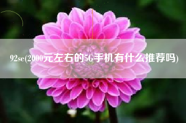 92se(2000元左右的5G手机有什么推荐吗)