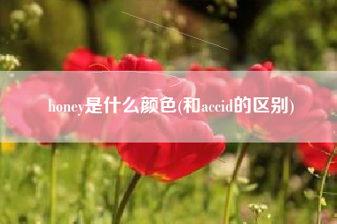 honey是什么颜色(和accid的区别)