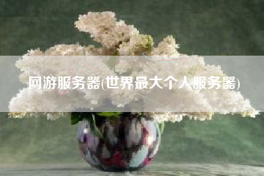 网游服务器(世界最大个人服务器)