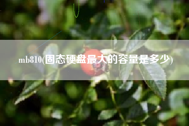 mb810(固态硬盘最大的容量是多少)