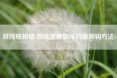 详细阅读:双线纽扣结(双线泥鳅倒吊钓组绑钩方法) 双线纽扣结(双线泥鳅倒吊钓组绑钩方法)