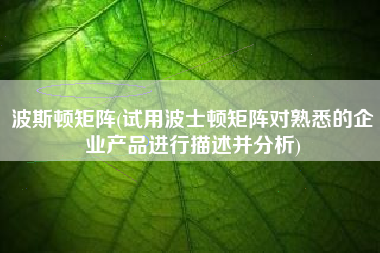 波斯顿矩阵(试用波士顿矩阵对熟悉的企业产品进行描述并分析)