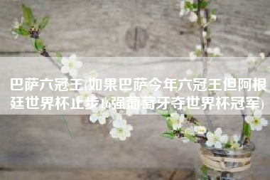 巴萨六冠王(如果巴萨今年六冠王但阿根廷世界杯止步16强葡萄牙夺世界杯冠军)