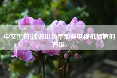 中文黑白(能说出当年那些电视机品牌的有谁)
