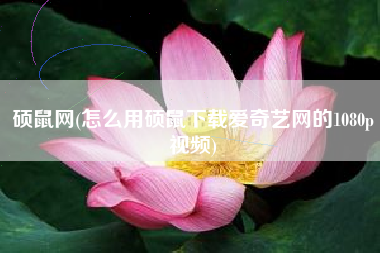 硕鼠网(怎么用硕鼠下载爱奇艺网的1080p视频)