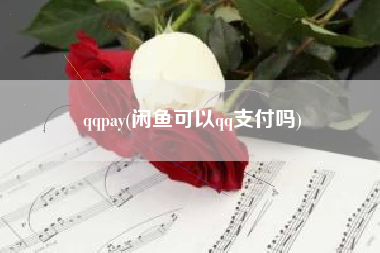 qqpay(闲鱼可以qq支付吗)