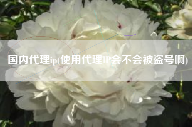 国内代理ip(使用代理IP会不会被盗号啊)