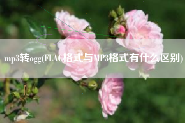 mp3转ogg(FLAC格式与MP3格式有什么区别)