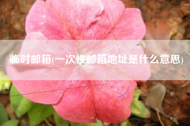 临时邮箱(一次性邮箱地址是什么意思)