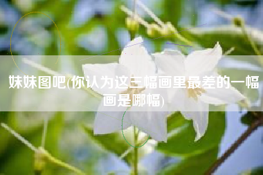 妹妹图吧(你认为这三幅画里最差的一幅画是哪幅)