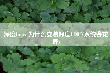 深度linux(为什么安装深度LINUX系统会花屏)