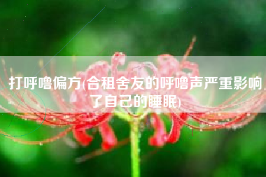 打呼噜偏方(合租舍友的呼噜声严重影响了自己的睡眠)