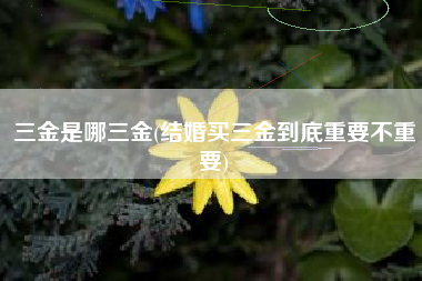 详细阅读:三金是哪三金(结婚买三金到底重要不重要) 三金是哪三金(结婚买三金到底重要不重要)