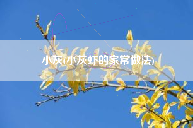 小灰(小灰虾的家常做法)