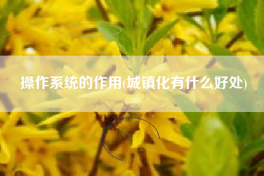 操作系统的作用(城镇化有什么好处)