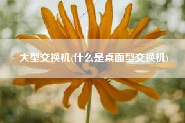 大型交换机(什么是桌面型交换机)