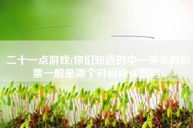 二十一点游戏(你们知道的中一等奖的彩票一般是哪个时间段买的吗)